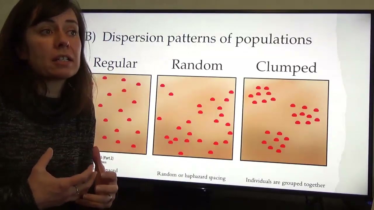 Week 5 Lecture 2