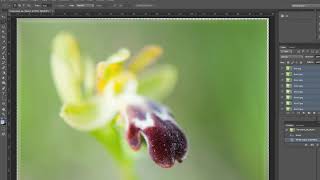 Apilado por enfoque en Photoshop - Focus stacking screenshot 2