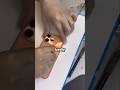 What he found inside his iphone 17 will shock you #shorts