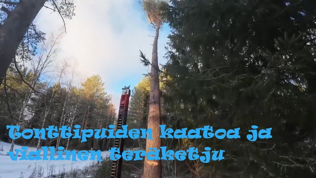 Tonttipuiden kaatoa ja viallinen teräketju