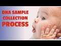 Dna swab test  home paternity testing collection