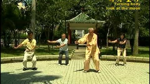 18 Chi Quong Shibashi (Tai Chi Qigong 18)