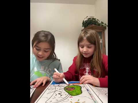 78857939000 15343 6 4502 1 5679315