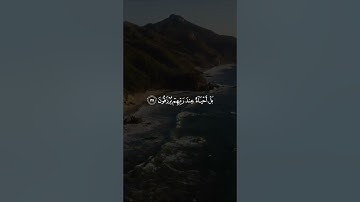 ﴿ولا تحسبن الذين قتلوا في سبيل الله أمواتًا﴾ القارئ طارق محمد..🍂