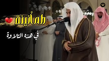 عشائية مميزة بترتيل عذب من سورة المائدة للشيخ أنس العمادي | عشاء 23-12-1446 هـ
