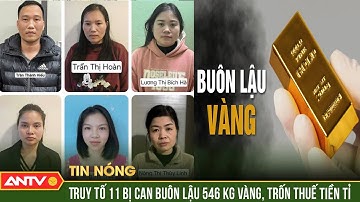 Truy tố 11 bị can trong vụ buôn lậu 546kg vàng trị giá hơn 1.200 tỷ đồng | ANTV