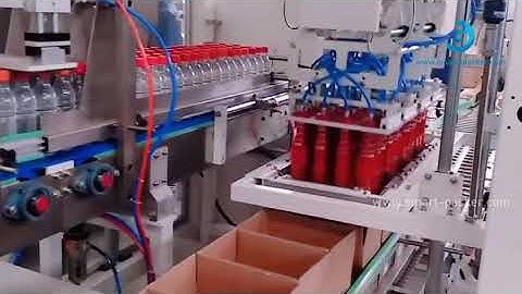 Automatic water bottle robot hand inserting cartoning machine for bulk bottle in one pack