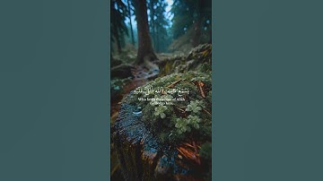 ويل لكل افاك أثيم 🕊️ تلاوة خاشعة ومؤثرة 🕊️ لفضيله الشيخ #ياسر_الدوسري #quran