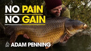 No Pain No Gain - Adam Penning