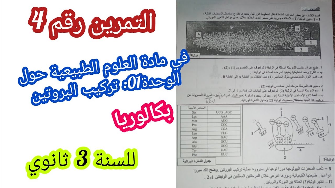 التمرين رقم4 في مادة العلوم الطبيعية حول الوحدة01: تركيب البروتين/للسنة 3 ثانوي/ بكالوريا
