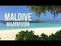 MALDIVE Vlog Maayafushi Resort
