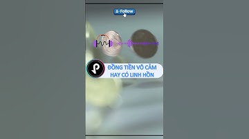 Đồng tiền vô cảm hay có linh hồn