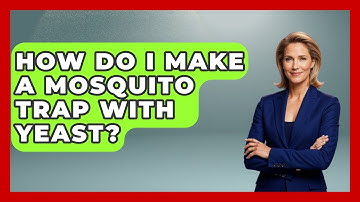 How Do I Make A Mosquito Trap With Yeast? - Insects and Invaders