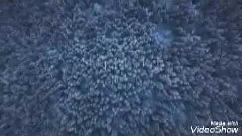 سوره الفرقان للقارئ حماده محمد