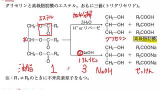 21有機化学　油脂