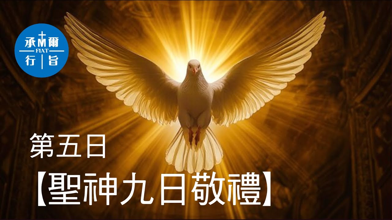 【聖神九日敬禮】第五天：求賜明達的恩典 - YouTube