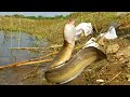 Best fishing video//eel fish catching// amazing biggest eel fish.