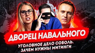 Дворец Навального, Уголовное дело Соболь, Зачем нужны митинги?