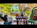 シニア主婦|何気ない毎日にありがとうを込めて|小さな楽しみを重ねる秋|ハロウィンの想い出|北国の庭の彩り|カフェランチ|シニアvlog|シニア夫婦
