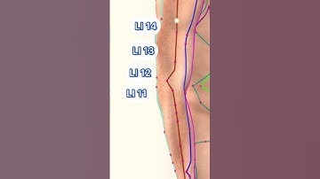 Large Intestine Meridian Acupuncture Points #acupuncturepoints