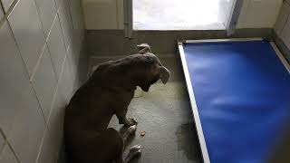 acs A678395