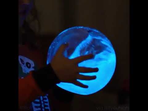 bioluminescent plankton aquarium glows