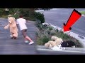 TEDDY BEAR ROOMMATE CRASHED HIS SKATEBOARD!