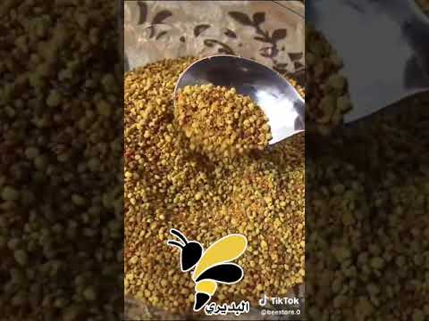 فوائد حبوب اللقاح مع العسل الطبيعي