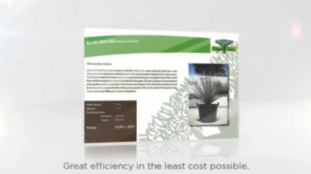 Tweed Heads and Gold Coast Laminating Services YouTube