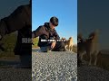 初散歩!歩くのか、歩かないのか、、