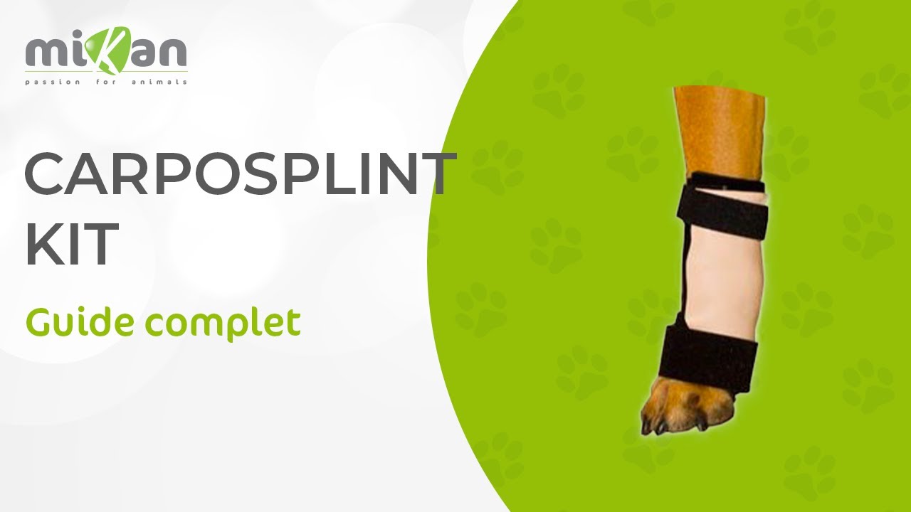 Comment mettre en place la Carposplint Kit avec Mikan