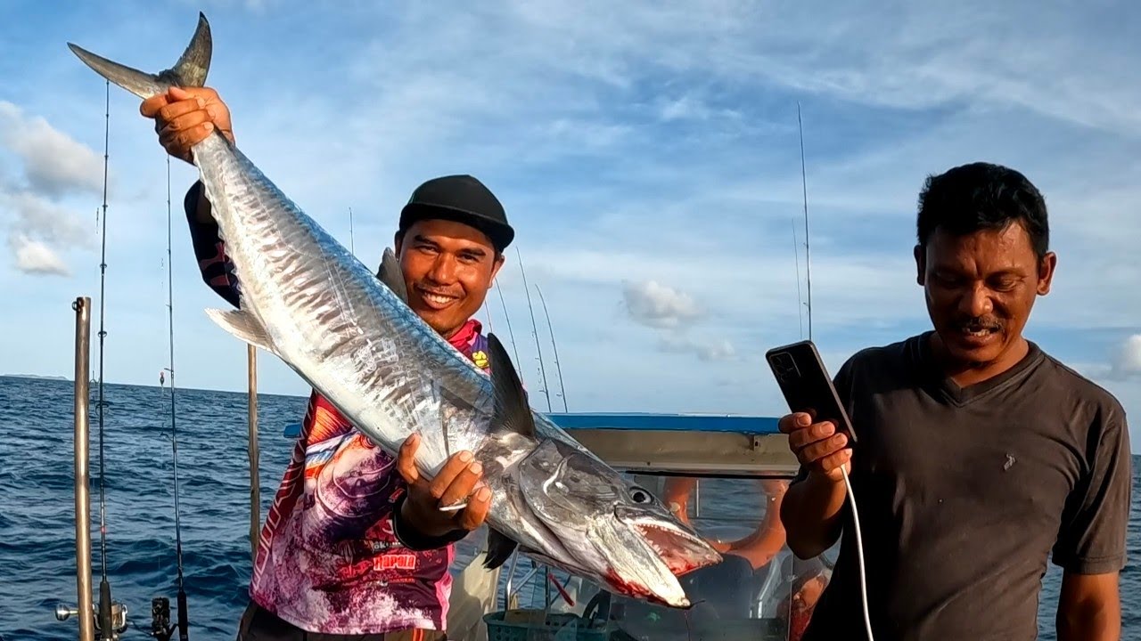 Trip Tuas Sidek Payah Tenggiri Air Dia Makan Petang Repeat Inilah Permainan Tenggiri Sebenarnya s427