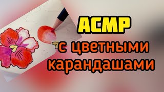 АСМР для спокойного сна: карандаши #asmr  #lenahappy #асмр