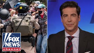 Jesse Watters: What’s going on is 'insanity'