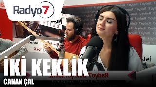 İki Keklik Bir Kayada Ötüyor - CANAN ÇAL Resimi