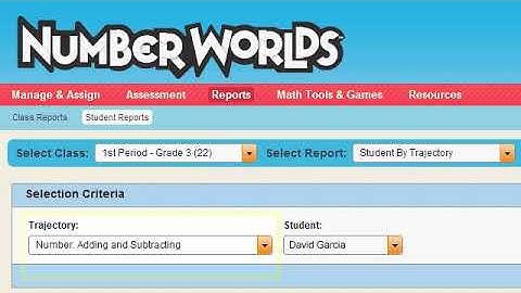 Number Worlds - Student Reports