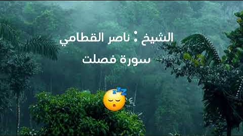 تلاوة هادئة بصوت الشيخ ناصر القطامي - سورة فصلت 😴🎧