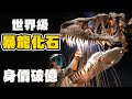 台灣之光！破億巨大暴龍化石！世界頂尖古生物清修團隊 超狂博物館館藏大公開！恐龍迷的夢想！