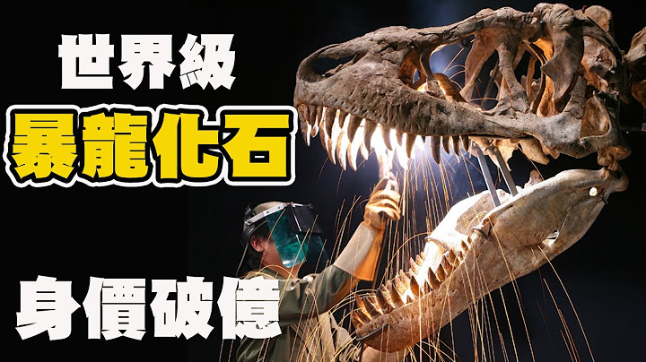 台灣之光！破億巨大暴龍化石！世界頂尖古生物清修團隊 超狂博物館館藏大公開！恐龍迷的夢想！ - 天天要聞