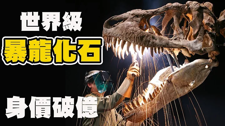 台湾之光！破亿巨大暴龙化石！世界顶尖古生物清修团队 超狂博物馆馆藏大公开！恐龙迷的梦想！ - 天天要闻
