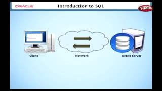 Celebrity Learn Oracle | Introduction to SQL Wealth