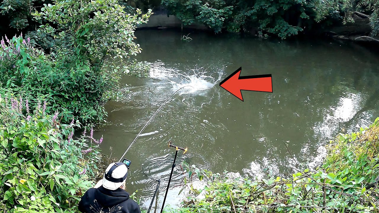 Fishing Slacks and Creases with WTF Moment !! YouTube