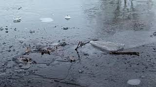 Thin ice claims two lives in N.J.