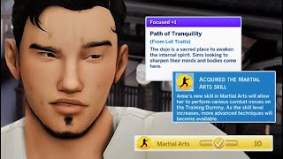 You NEED This MARTIAL ARTS Mod For Your Sims