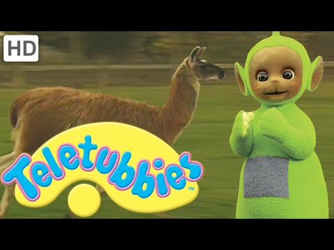 Teletubbies: Llama - Full Episode