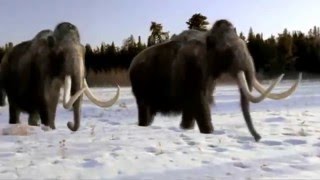 Ice Age Opening style Walking With Beasts