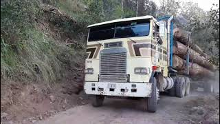 Los mejores camiones troceros en acción por la sierra de Durango México