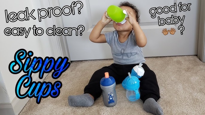 Best No-Spill Sippy Cups 2021 – Drop Test Comparison 