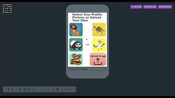 Congressional App Challange 2025