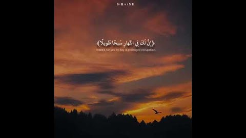سورة المزمل القارئ حمزه معاذ.